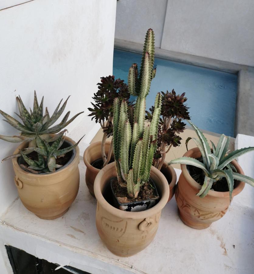 Riad Bab Aylen - Piscine Roof Top Chauffee 마라케시 외부 사진